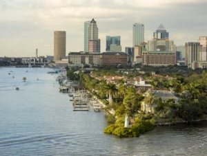 SEO & Website Design in Tampa, Florida